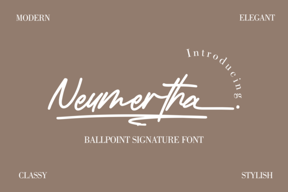 Choosing Neumertha: The Ballpoint Script Font for Authentic Digital Branding