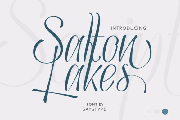 Salton Lakes: The Handwritten Script Font for Handmade Charm