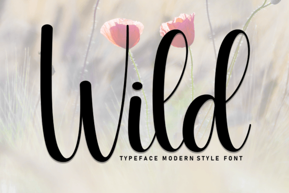 Wild Font: Bringing Warmth and Clarity to Your Campaign Visuals